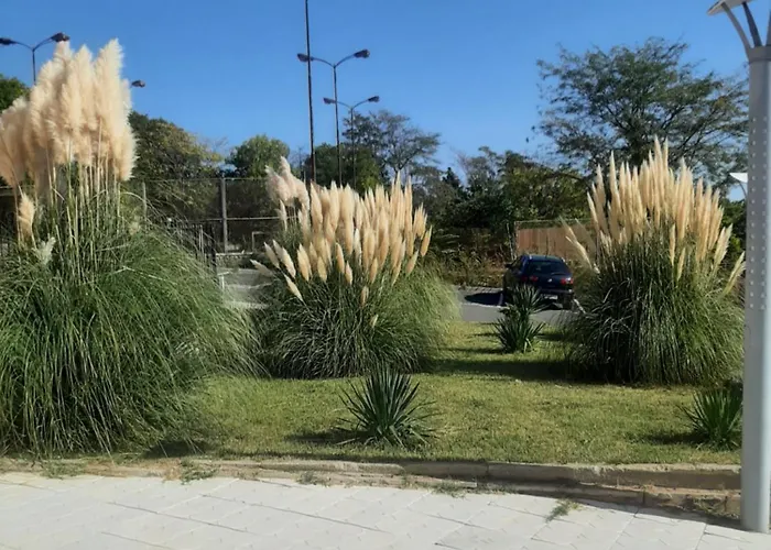 Ray מלון סוזופול